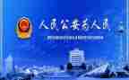 2024公安年度总结6篇