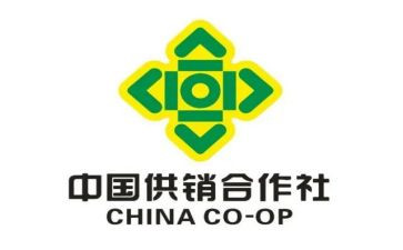 市供销社工作总结5篇