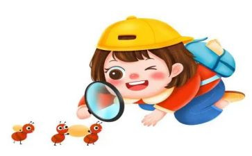绿豆观察日记作文7篇