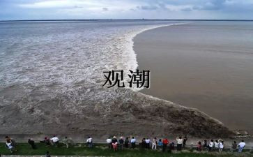 观潮活动总结优秀8篇
