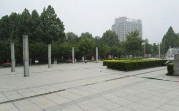 在广场的蟋蟀的读后感优秀6篇