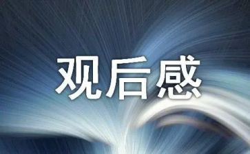 春节联欢??会观后感8篇