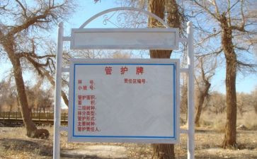森林管护月总结6篇