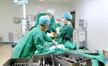2023年骨科护理工作总结5篇