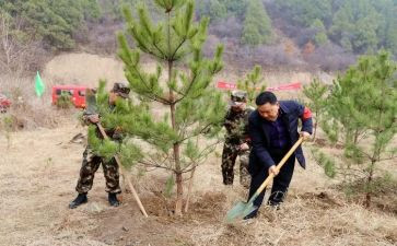 国有林工作总结6篇