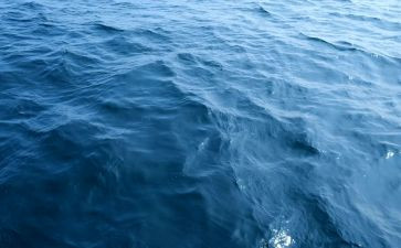 少年与海读后感模板6篇