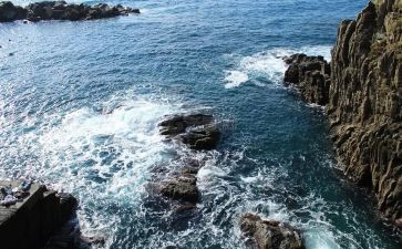 海胶生产工作总结通用5篇