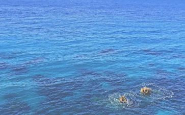 海垦集团工作总结精选6篇
