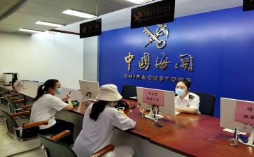 2023年海关个人总结5篇