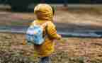 幼儿园孩子的教育心得8篇