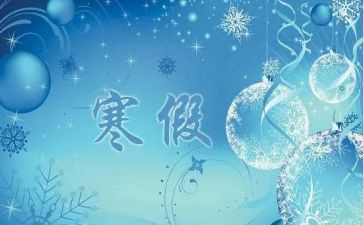 寒假个人实践总结报告7篇