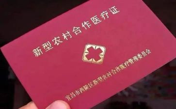 医院合疗年终个人总结最新8篇