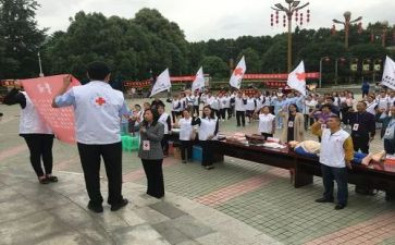 六月红十活动总结7篇