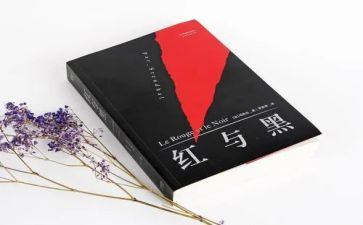 红与黑读后感作文7篇