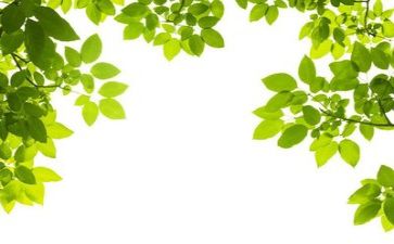环保行活动总结优质6篇