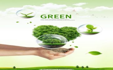 环保组工作总结最新6篇