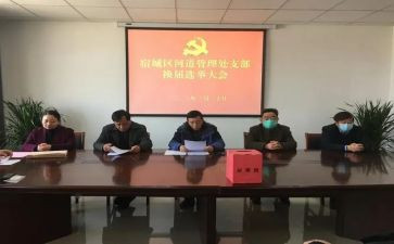 镇村换届工作总结8篇