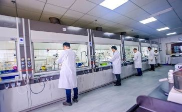 化验员工作总结个人总结精选5篇