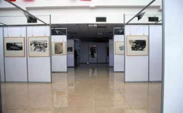 画展活动总结8篇