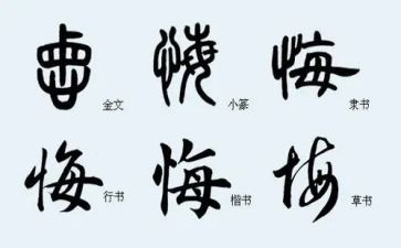 我无悔的作文优质6篇