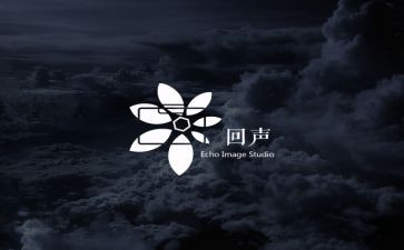 回声的教案7篇