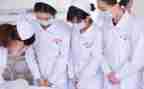 优质护理工作半年总结8篇