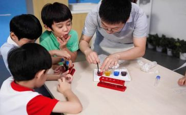 小学语文活动课教案7篇