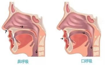 护士呼吸科心得体会8篇