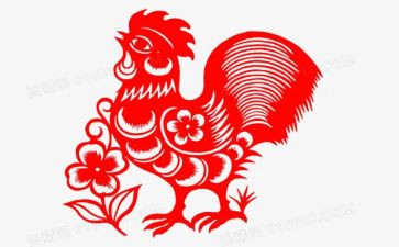 14.母鸡教案参考7篇