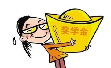 学校评奖学金的个人总结8篇