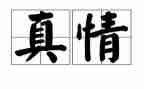 关于真情作文模板8篇