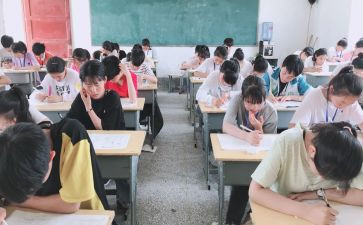总监考核个人总结7篇