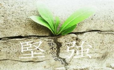 坚强初中作文7篇
