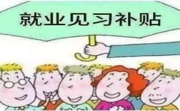 教师见习试用期个人总结7篇