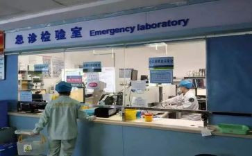 检验室年度考核个人总结7篇