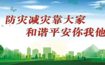 2024年防灾减灾工作总结报告8篇