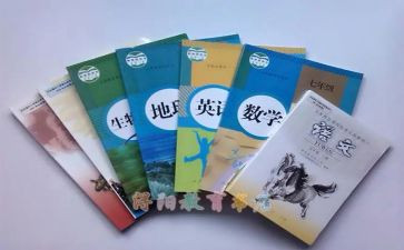 教科室个人工作总结6篇
