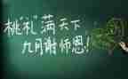 优秀教师的个人工作总结,个人总结推荐8篇