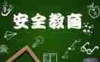 安全教育安全教育总结8篇