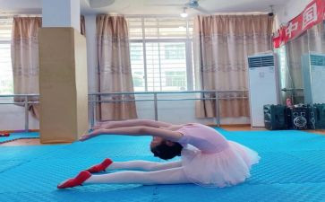 个人基本工作总结8篇