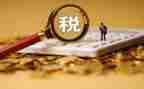 半年稽查工作总结5篇