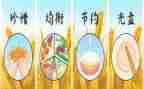 节水节粮活动总结7篇