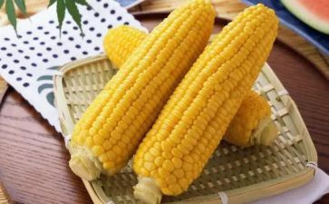 割玉米的作文最新7篇