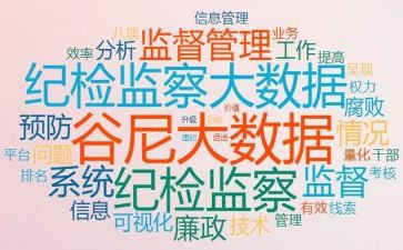 纪检个人总结8篇