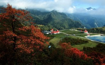 2023景区保安工作总结7篇