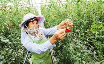 技术部年度总结精选8篇