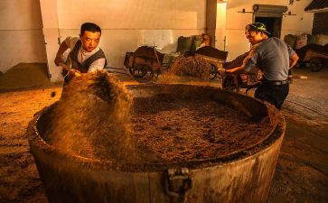酒店试用期转正工作总结6篇