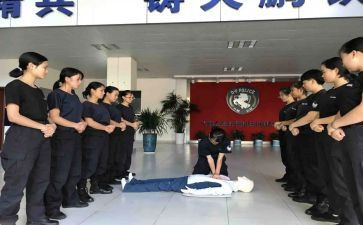 机训工作总结推荐8篇