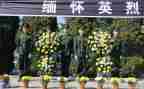 小学生清明祭英烈活动方案6篇