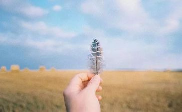爱的抉择作文8篇